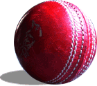 cricket ball